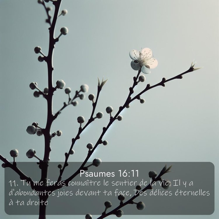 Segond Psaumes 16:11