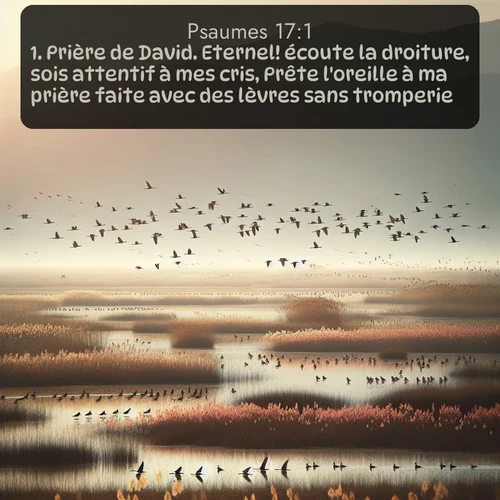 Segond Psaumes  ; image nature: image avec le verset biblique :Prière de David. Eternel! écoute la droiture, sois attentif à mes cris, Prête l&#039;oreille à ma prière faite avec des lèvres sans tromperie! ;  ; 17:1