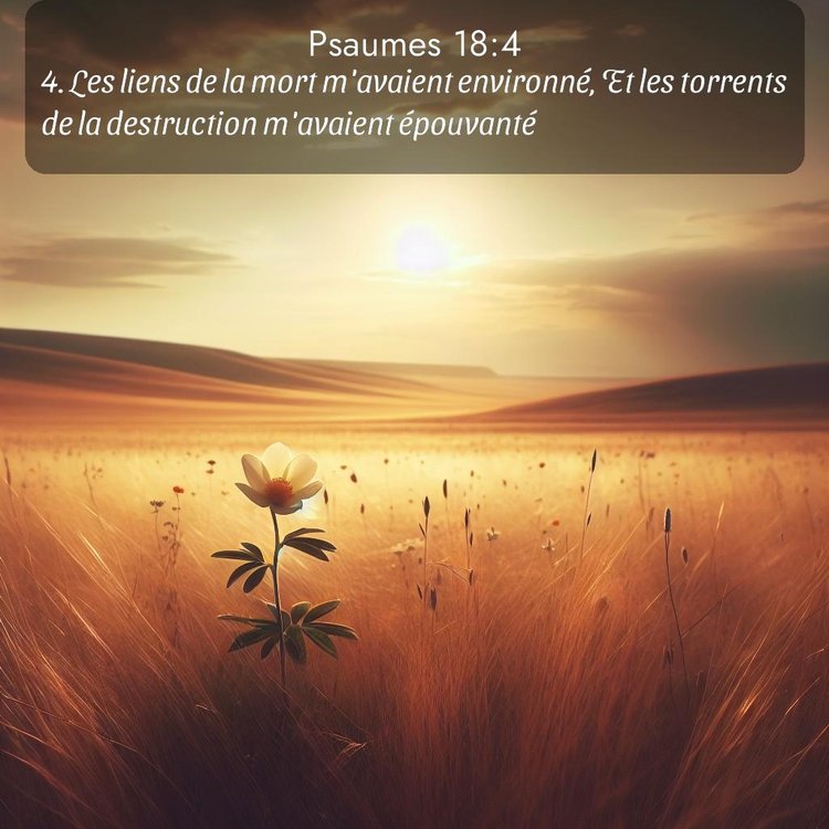 Segond Psaumes 18:4