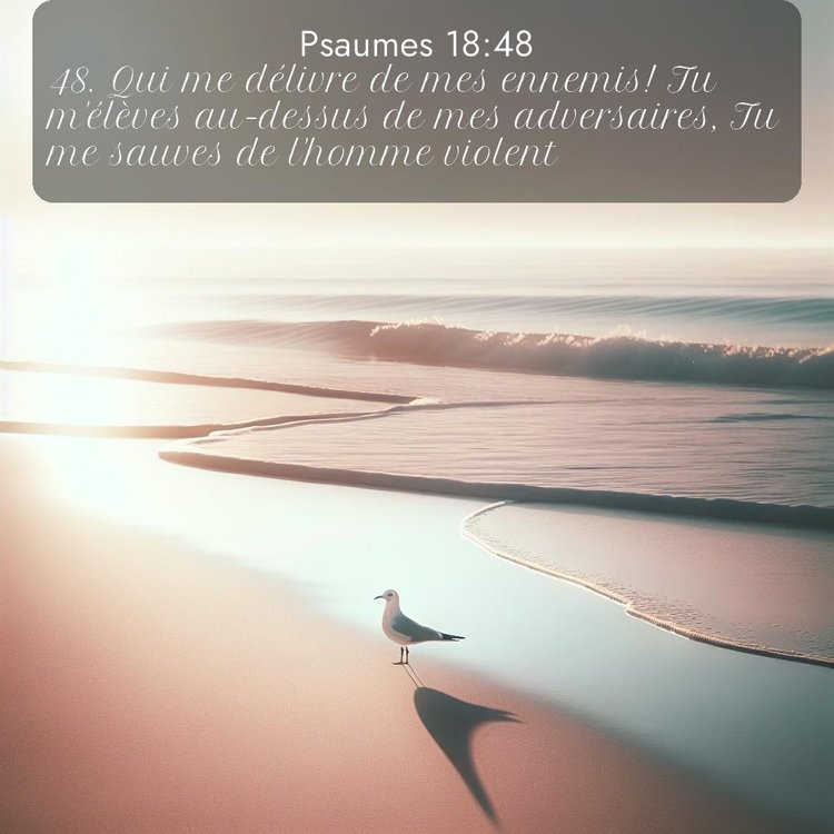 Segond Psaumes 18:48