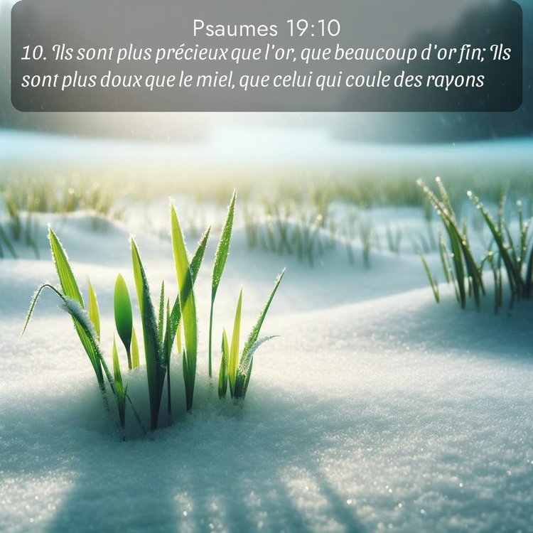 image nature avec verset biblique de la Bible