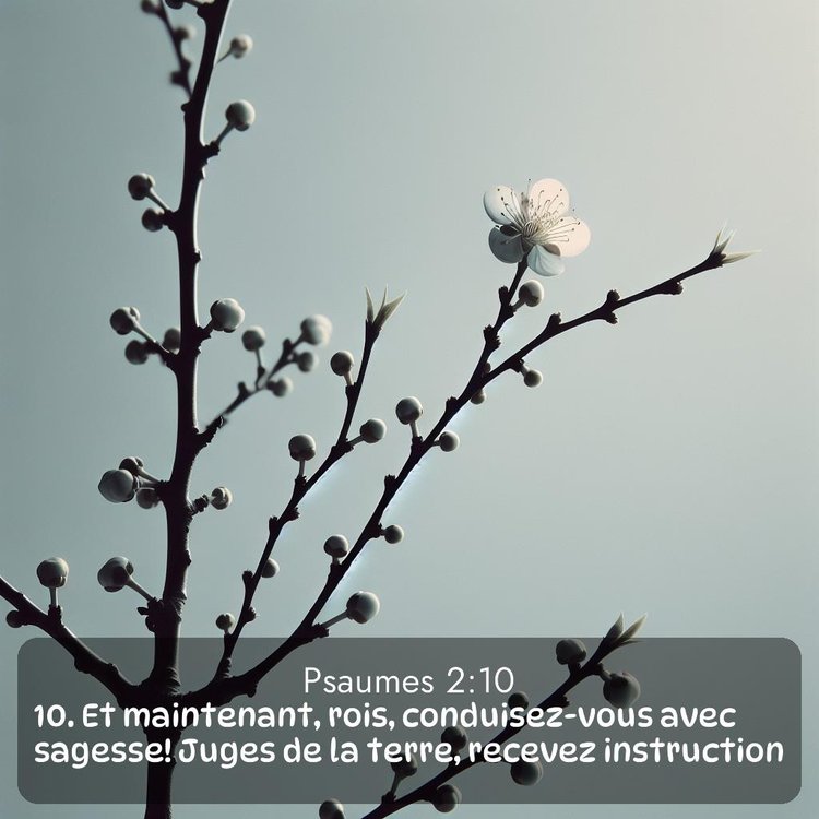 image nature avec verset biblique de la Bible