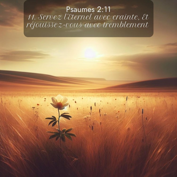 Segond Psaumes 2:11