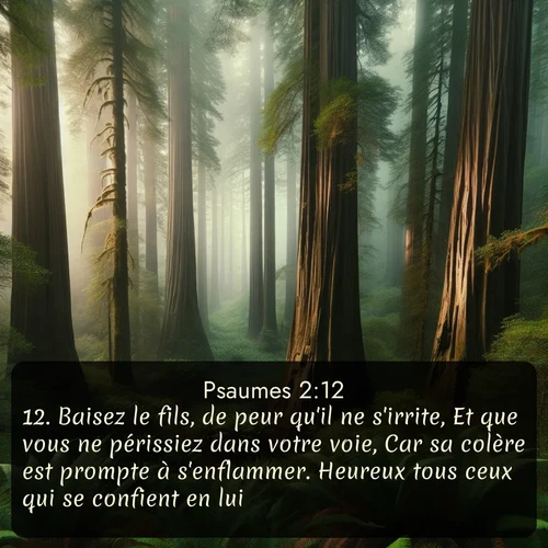 Segond Psaumes  ; image nature: image avec le verset biblique :Baisez le fils, de peur qu&#039;il ne s&#039;irrite, Et que vous ne périssiez dans votre voie, Car sa colère est prompte à s&#039;enflammer. Heureux tous ceux qui se confient en lui! ;  ; 2:12