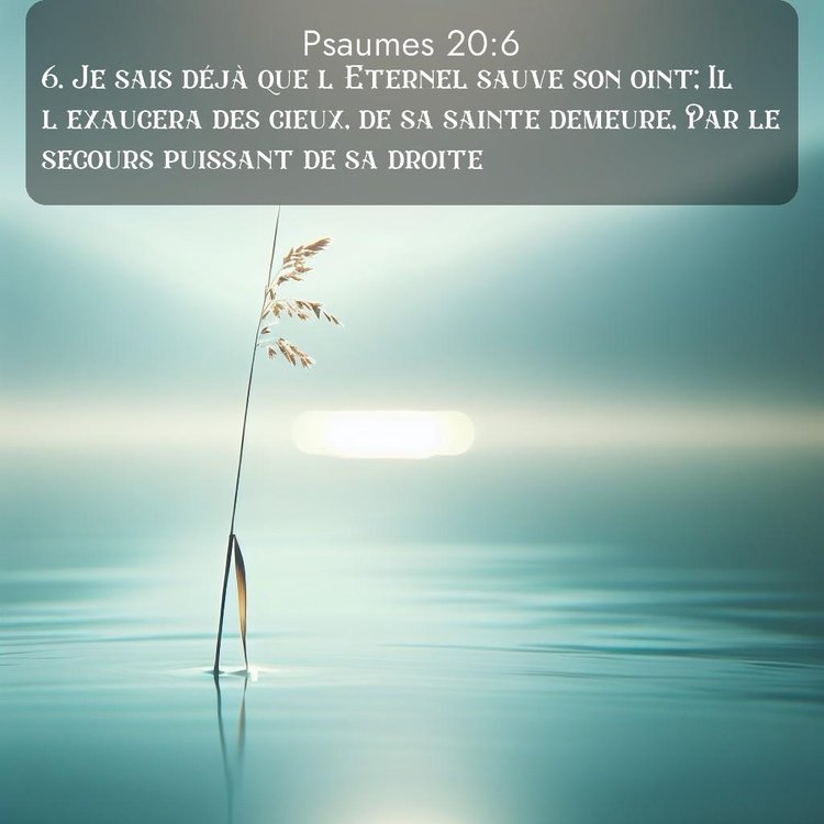image nature avec verset biblique de la Bible
