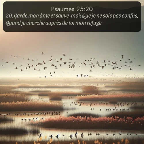 Segond Psaumes  ; image nature: image avec le verset biblique :Garde mon âme et sauve-moi! Que je ne sois pas confus, Quand je cherche auprès de toi mon refuge! ;  ; 25:20