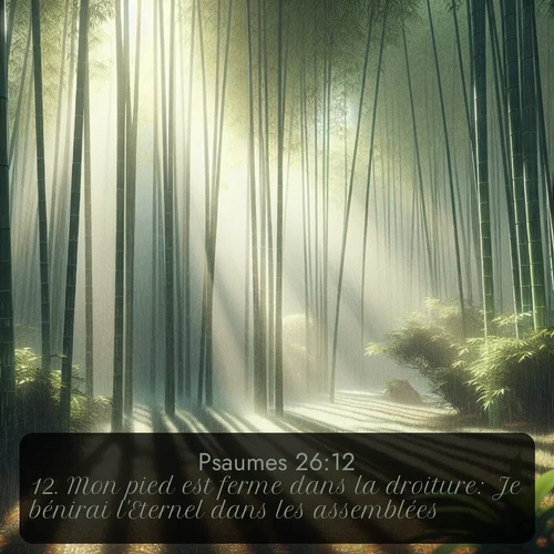Segond Psaumes  ; image nature: image avec le verset biblique :Mon pied est ferme dans la droiture: Je bénirai l&#039;Eternel dans les assemblées. ;  ; 26:12