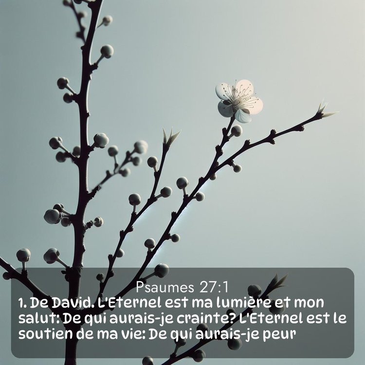 image nature avec verset biblique de la Bible