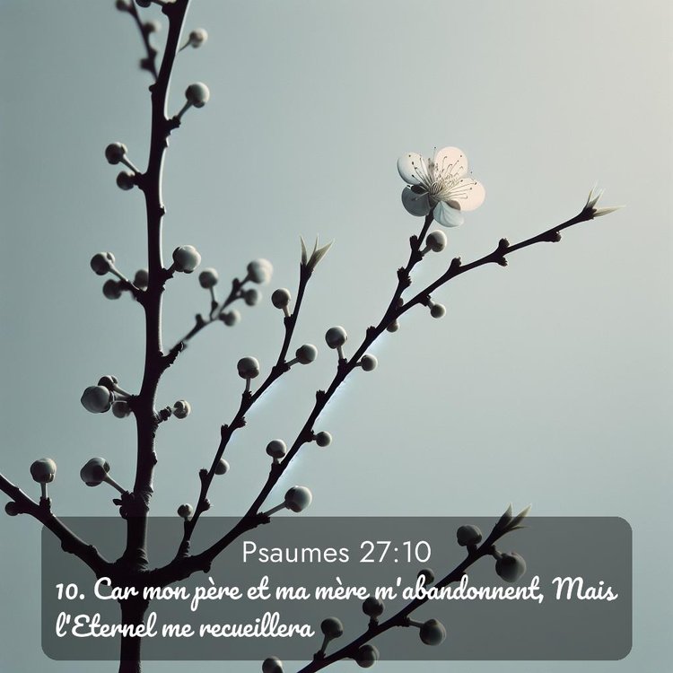 Segond Psaumes 27:10