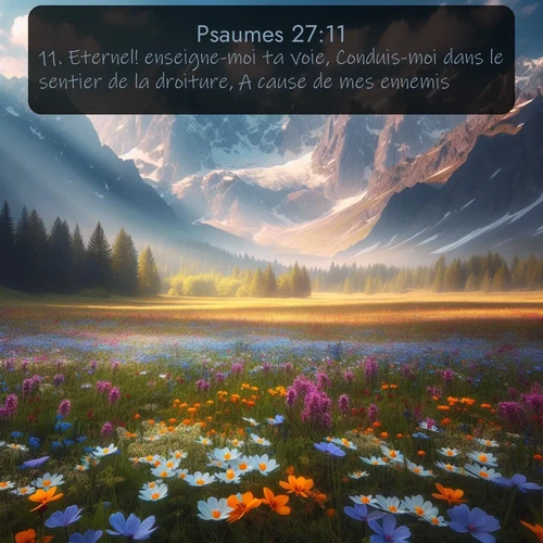 Segond Psaumes  ; image nature: image avec le verset biblique :Eternel! enseigne-moi ta voie, Conduis-moi dans le sentier de la droiture, A cause de mes ennemis. ;  ; 27:11