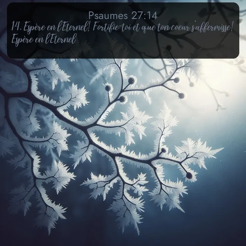 Segond Psaumes  ; image nature: image avec le verset biblique :Espère en l&#039;Eternel! Fortifie-toi et que ton coeur s&#039;affermisse! Espère en l&#039;Eternel! ;  ; 27:14