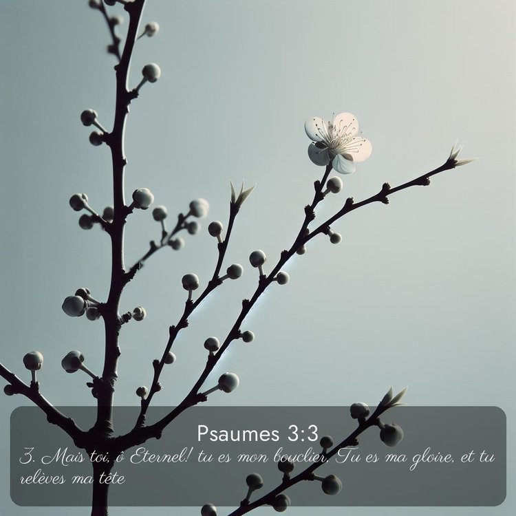 image nature avec verset biblique de la Bible