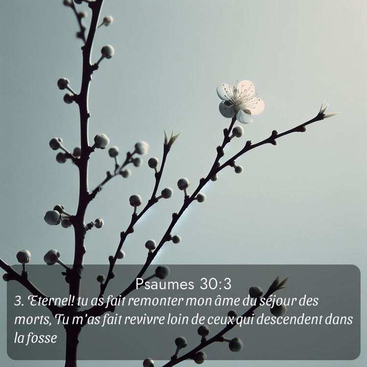 Segond Psaumes 30:3