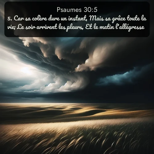 Segond Psaumes  ; image nature: image avec le verset biblique :Car sa colère dure un instant, Mais sa grâce toute la vie; Le soir arrivent les pleurs, Et le matin l&#039;allégresse. ;  ; 30:5