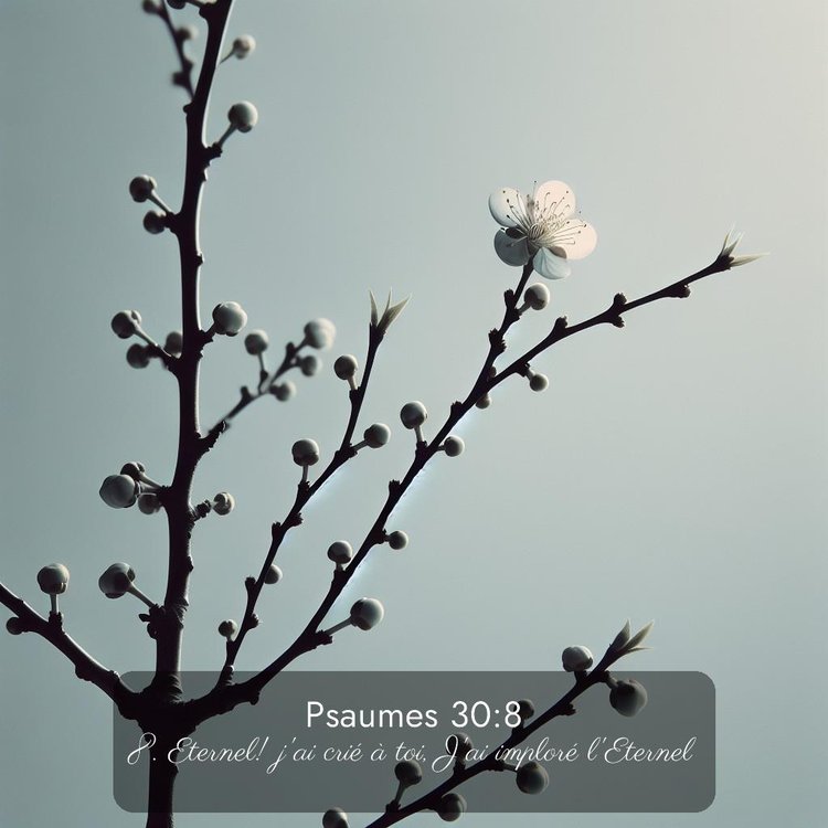 image nature avec verset biblique de la Bible