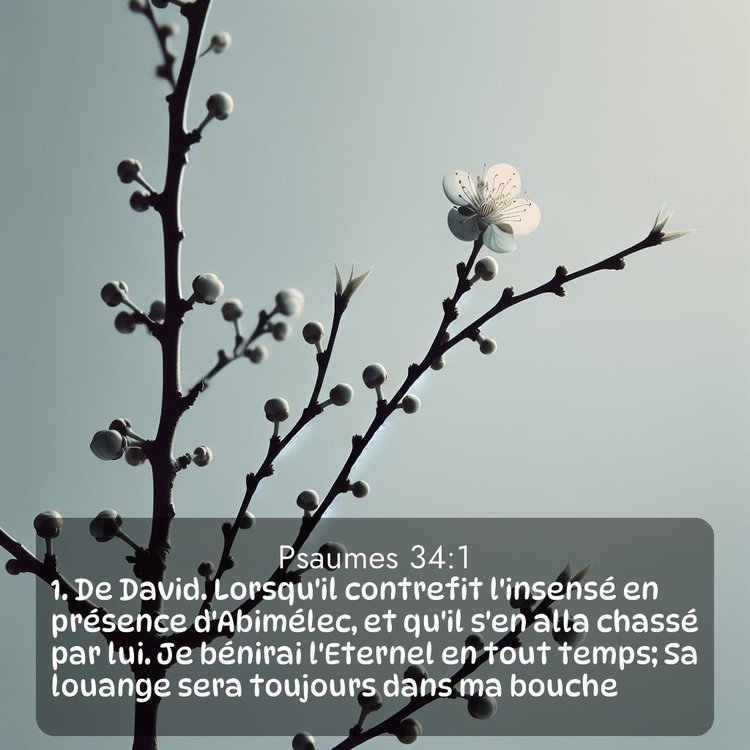 image nature avec verset biblique de la Bible