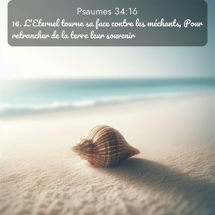 image nature avec verset biblique de la Bible