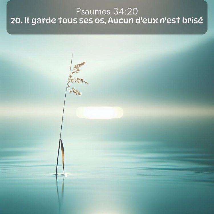 image nature avec verset biblique de la Bible
