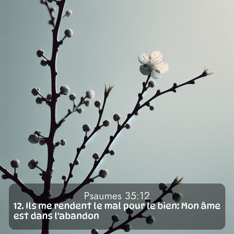 image nature avec verset biblique de la Bible