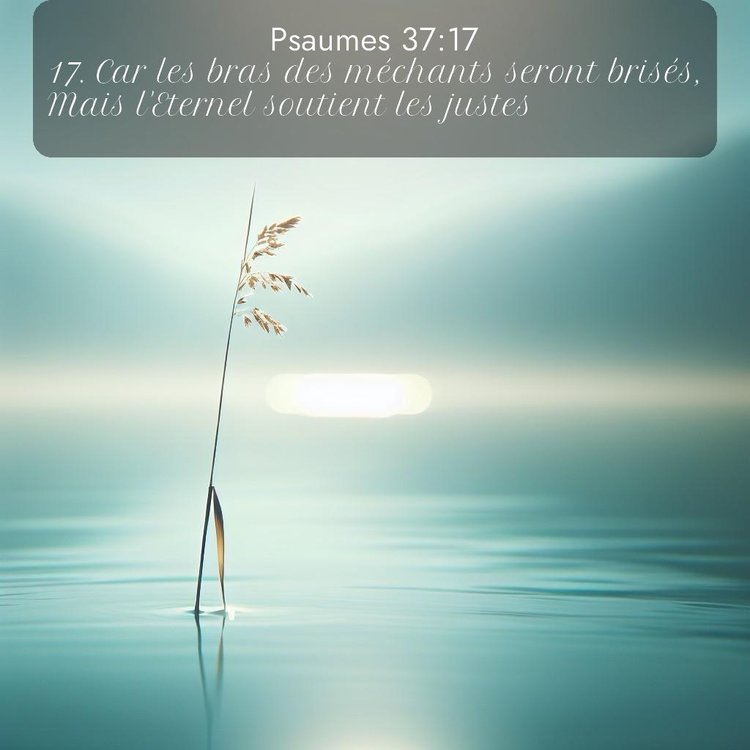 Segond Psaumes 37:17