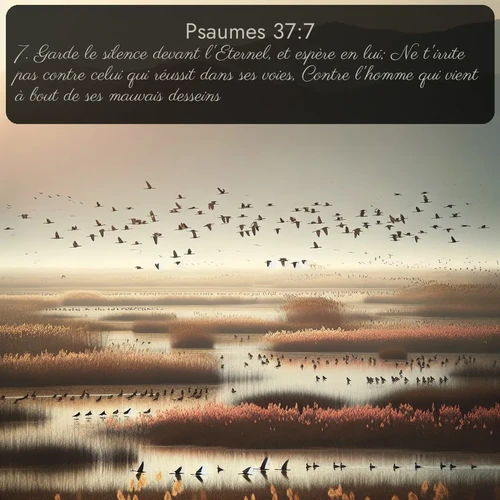 Segond Psaumes  ; image nature: image avec le verset biblique :Garde le silence devant l&#039;Eternel, et espère en lui; Ne t&#039;irrite pas contre celui qui réussit dans ses voies, Contre l&#039;homme qui vient à bout de ses mauvais desseins. ;  ; 37:7
