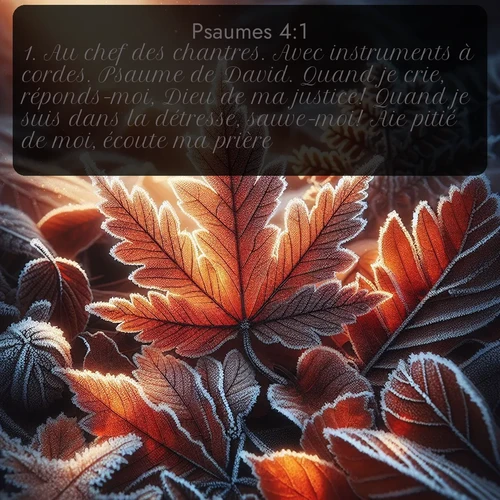 Segond Psaumes  ; image nature: image avec le verset biblique :Au chef des chantres. Avec instruments à cordes. Psaume de David. Quand je crie, réponds-moi, Dieu de ma justice! Quand je suis dans la détresse, sauve-moi! Aie pitié de moi, écoute ma prière! ;  ; 4:1