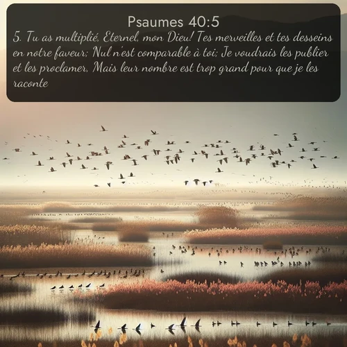 Segond Psaumes  ; image nature: image avec le verset biblique :Tu as multiplié, Eternel, mon Dieu! Tes merveilles et tes desseins en notre faveur; Nul n&#039;est comparable à toi; Je voudrais les publier et les proclamer, Mais leur nombre est trop grand pour que je les raconte. ;  ; 40:5