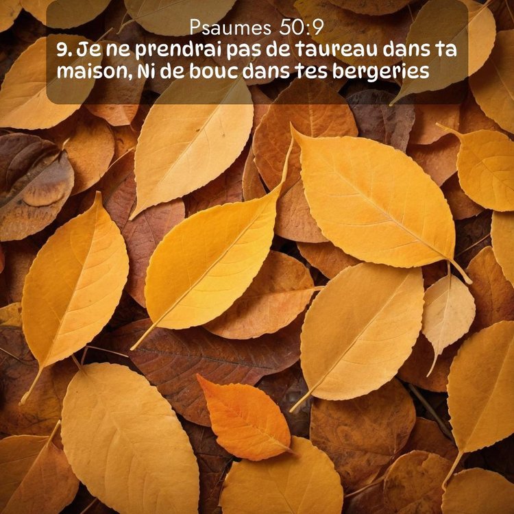 image nature avec verset biblique de la Bible
