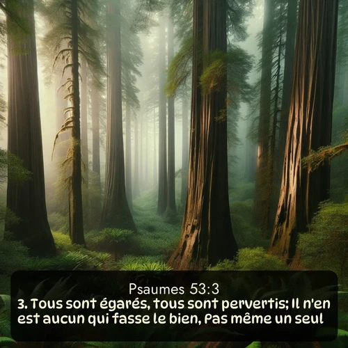 Segond Psaumes  ; image nature: image avec le verset biblique :Tous sont égarés, tous sont pervertis; Il n&#039;en est aucun qui fasse le bien, Pas même un seul. ;  ; 53:3