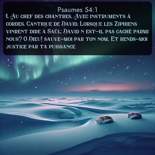 Segond Psaumes  ; image nature: image avec le verset biblique :Au chef des chantres. Avec instruments à cordes. Cantique de David. Lorsque les Ziphiens vinrent dire à Saül: David n&#039;est-il pas caché parmi nous? O Dieu! sauve-moi par ton nom, Et rends-moi justice par ta puissance! ;  ; 54:1
