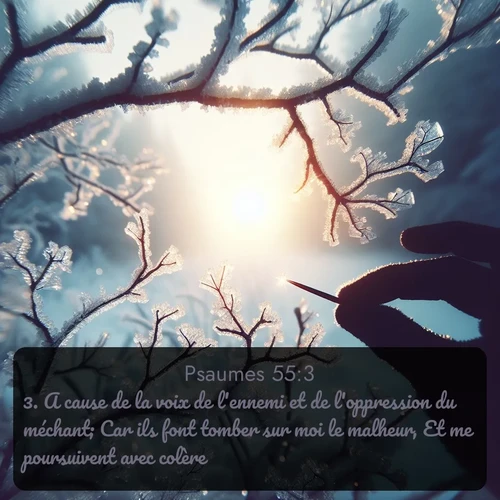 Segond Psaumes  ; image nature: image avec le verset biblique :A cause de la voix de l&#039;ennemi et de l&#039;oppression du méchant; Car ils font tomber sur moi le malheur, Et me poursuivent avec colère. ;  ; 55:3