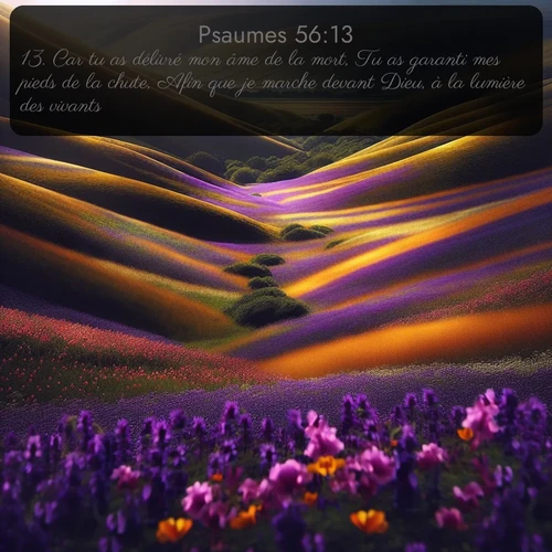 Segond Psaumes  ; image nature: image avec le verset biblique :Car tu as délivré mon âme de la mort, Tu as garanti mes pieds de la chute, Afin que je marche devant Dieu, à la lumière des vivants. ;  ; 56:13