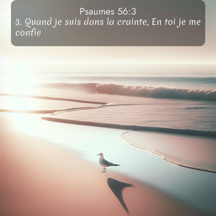 Segond Psaumes 56:3