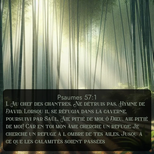 Segond Psaumes  ; image nature: image avec le verset biblique :Au chef des chantres. Ne détruis pas. Hymne de David. Lorsqu&#039;il se réfugia dans la caverne, poursuivi par Saül. Aie pitié de moi, ô Dieu, aie pitié de moi! Car en toi mon âme cherche un refuge; Je cherche un refuge à l&#039;ombre de tes ailes, Jusqu&#039;à ce que les calamités soient passées. ;  ; 57:1