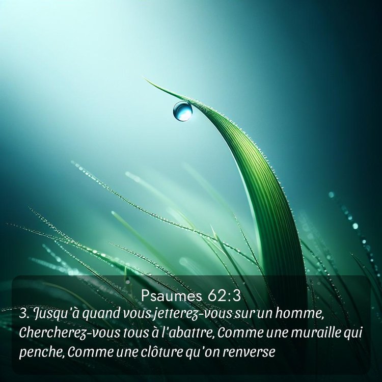 Segond Psaumes 62:3