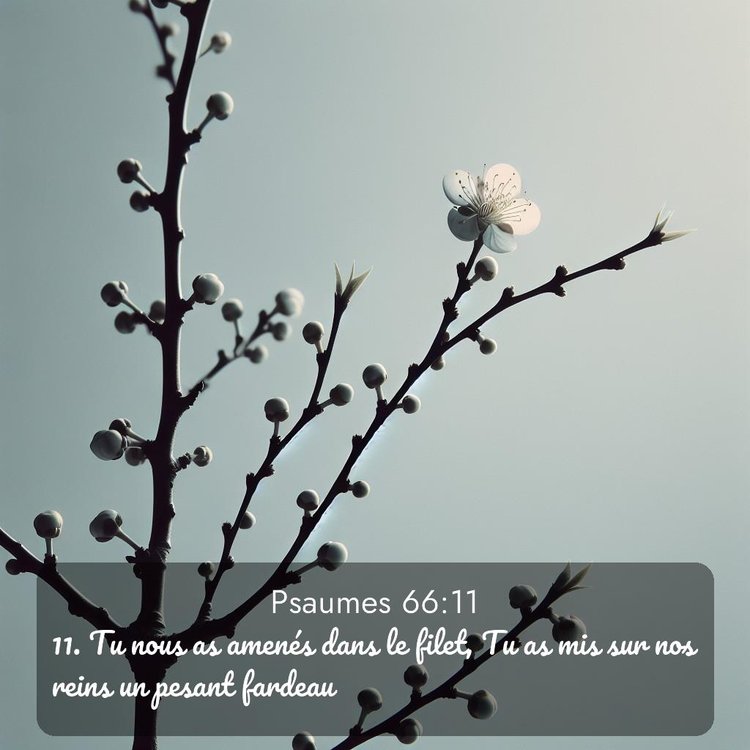 image nature avec verset biblique de la Bible
