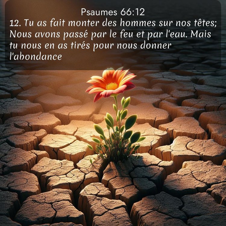 image nature avec verset biblique de la Bible