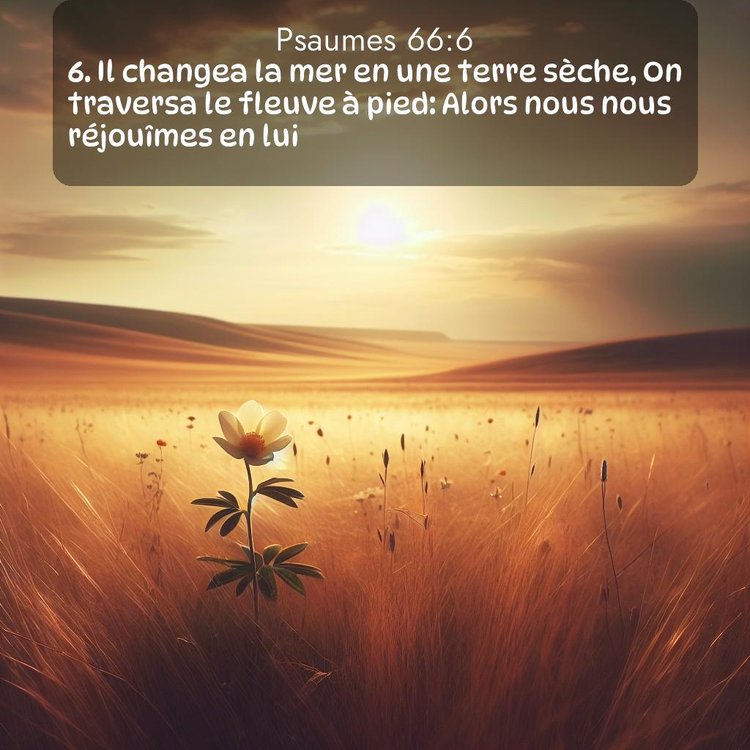 image nature avec verset biblique de la Bible