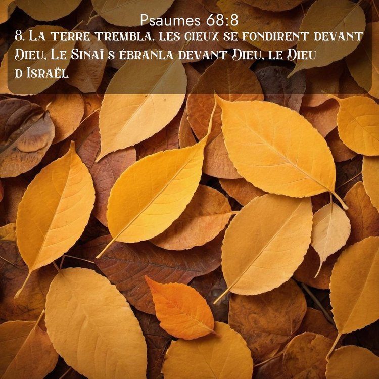 image nature avec verset biblique de la Bible