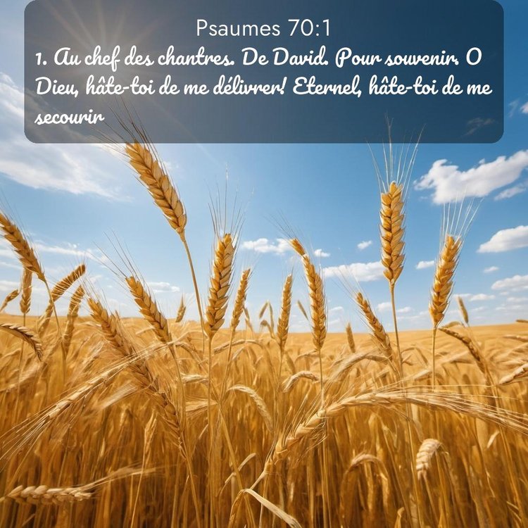 image nature avec verset biblique de la Bible