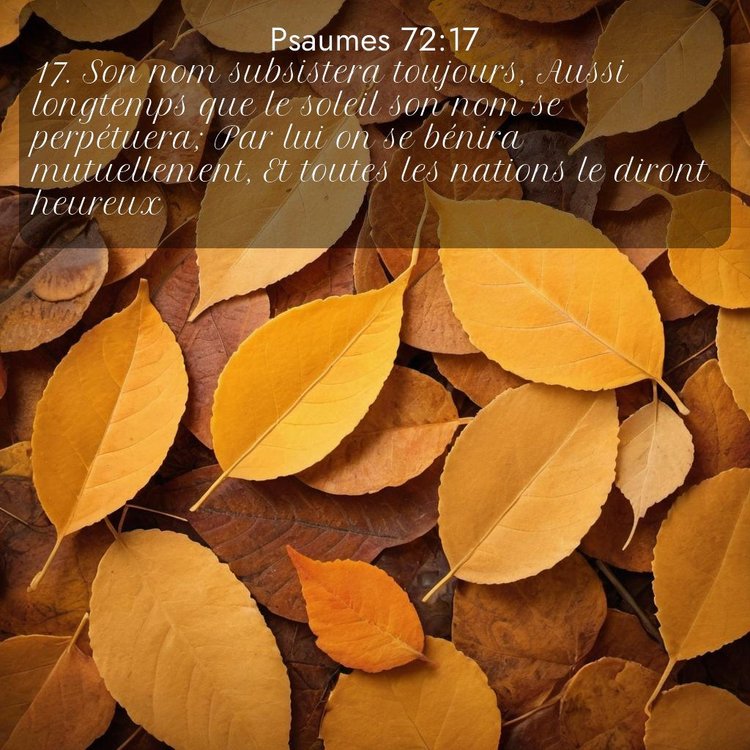 Segond Psaumes 72:17