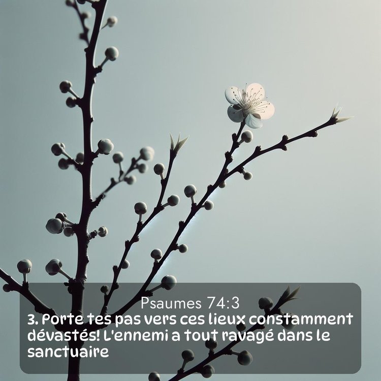 image nature avec verset biblique de la Bible