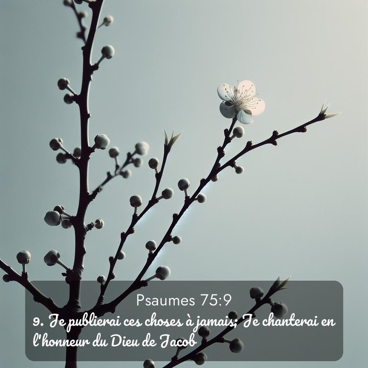 image nature avec verset biblique de la Bible