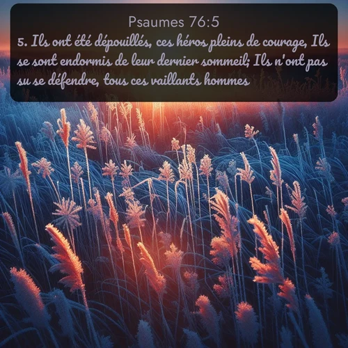 Segond Psaumes  ; image nature: image avec le verset biblique :Ils ont été dépouillés, ces héros pleins de courage, Ils se sont endormis de leur dernier sommeil; Ils n&#039;ont pas su se défendre, tous ces vaillants hommes. ;  ; 76:5