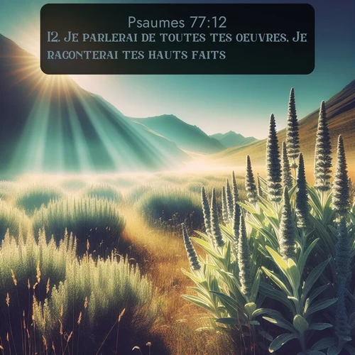 Segond Psaumes  ; image nature: image avec le verset biblique :Je parlerai de toutes tes oeuvres, Je raconterai tes hauts faits. ;  ; 77:12