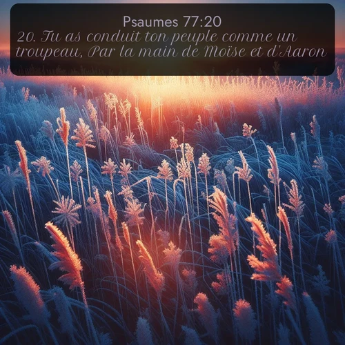 Segond Psaumes  ; image nature: image avec le verset biblique :Tu as conduit ton peuple comme un troupeau, Par la main de Moïse et d&#039;Aaron. ;  ; 77:20