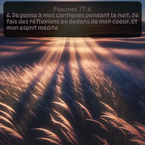 Segond Psaumes  ; image nature: image avec le verset biblique :Je pense à mes cantiques pendant la nuit, Je fais des réflexions au dedans de mon coeur, Et mon esprit médite. ;  ; 77:6