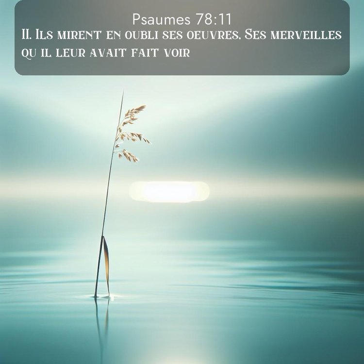 Segond Psaumes 78:11