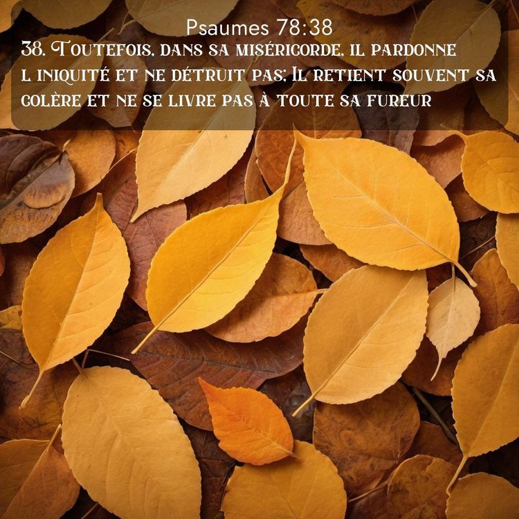 image nature avec verset biblique de la Bible