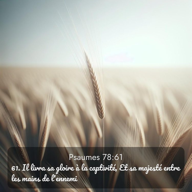 Segond Psaumes 78:61